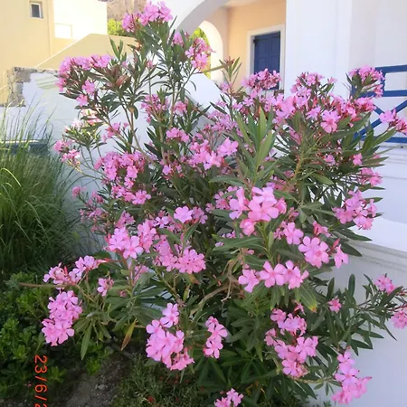 Lejlighedshotel Aegean View Kamári